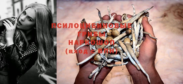 твердый Абинск